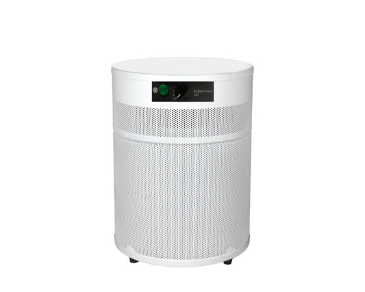 V400 - VOCs and Chemicals- Good for Wildfires Air Purifier