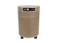 G700 DLX - Odor-Free Carbon for the Chemically Sensitive (MCS)- Plus Air Purifier